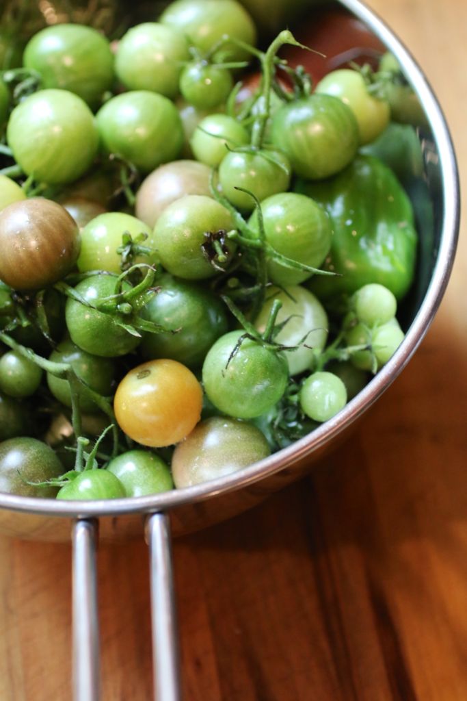 green tomatoes in strainer